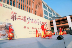 <b>西咸新区第二届中医药养生文化节开幕</b>
