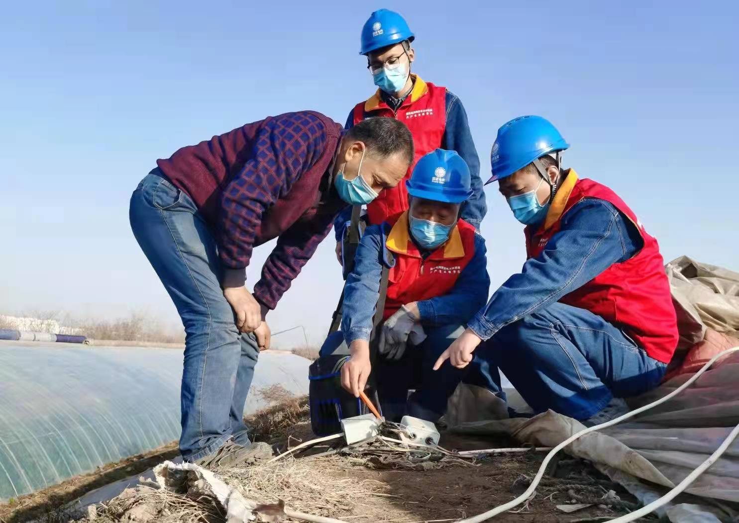 <b>国网咸阳供电公司：确保大棚产得出 “菜篮子”供得上</b>