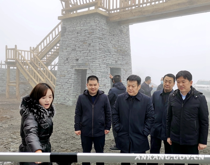 <b>邹顺生到镇坪县调研文旅康养产业链发展情况</b>