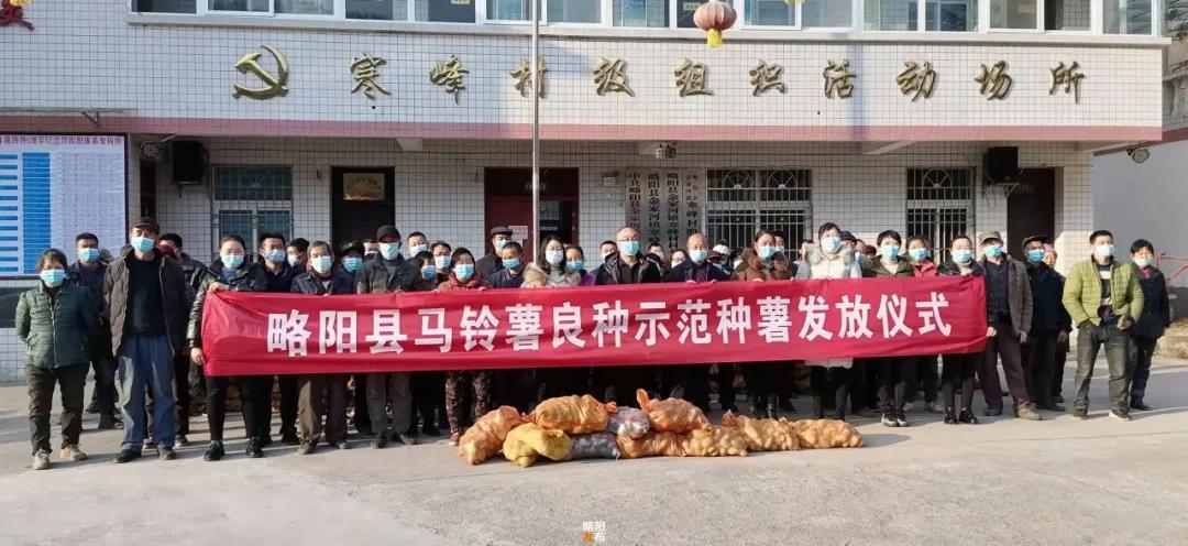 <b>略阳县向8000多农户免费发放马铃薯良种150吨</b>