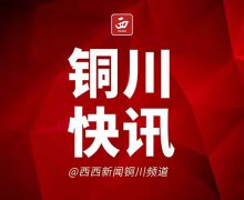 铜川2022新春线上年货节启动
