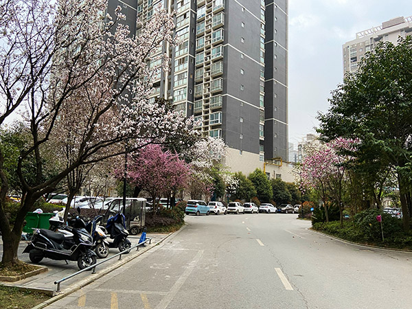 <b>汉中按下“暂停键”  疫情防控“不打烊”</b>