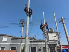 <b>国网咸阳供电公司：紧抓春检关键时 隐患消缺强电网</b>