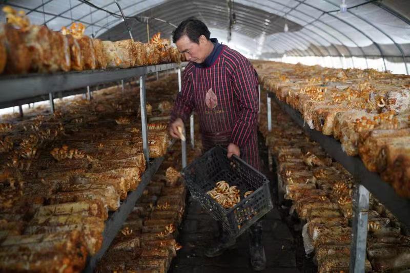 <b>巩固22.1万户65.5万脱贫人口稳定脱贫不返贫 汉中这样做</b>