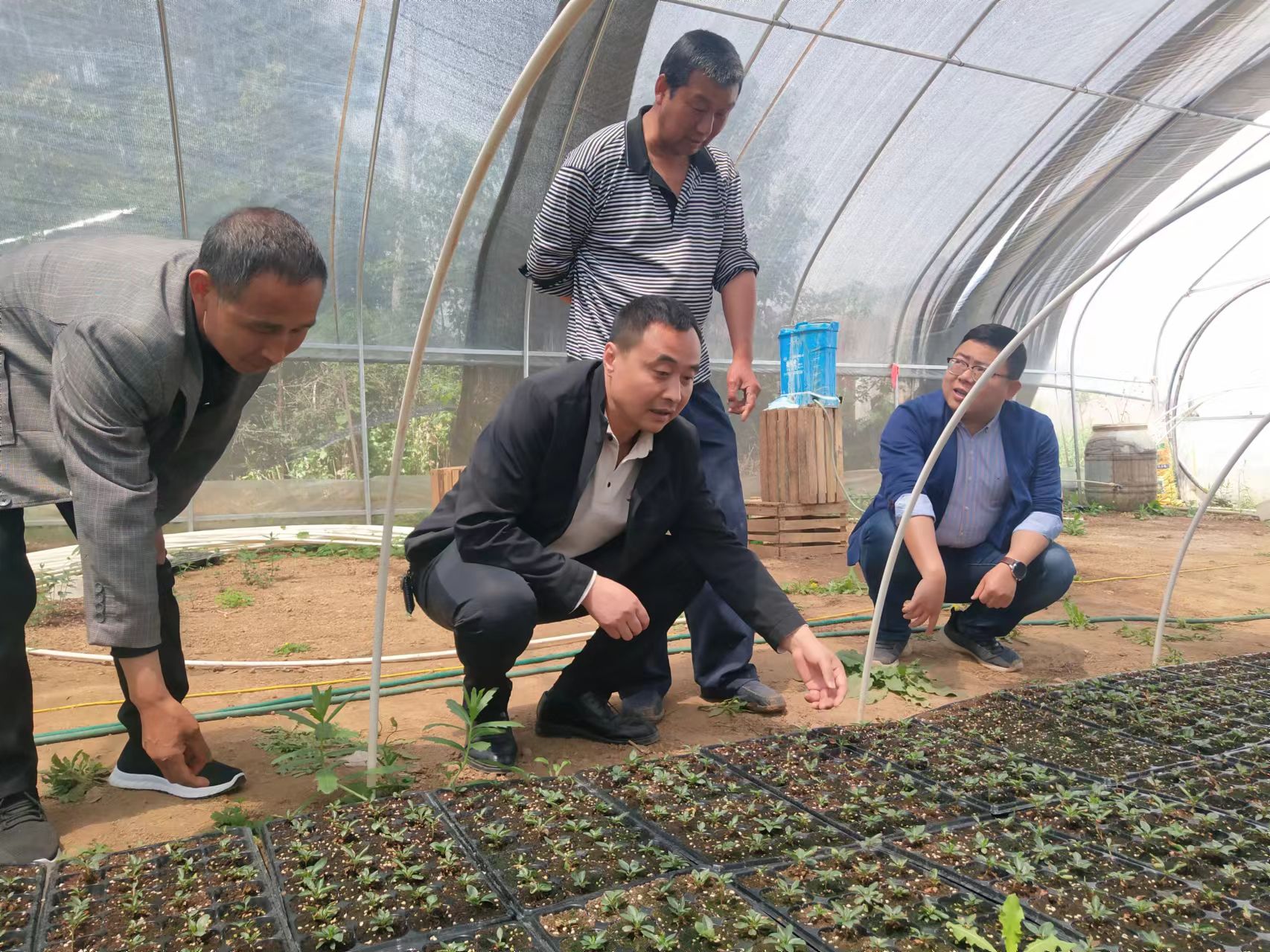 <b>眉县齐镇南寨村党支部书记张召军带领群众奔小康</b>