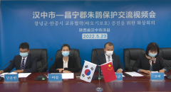 <b>秦岭四宝之一走上国际舞台 洋县朱鹮推动中韩友谊</b>