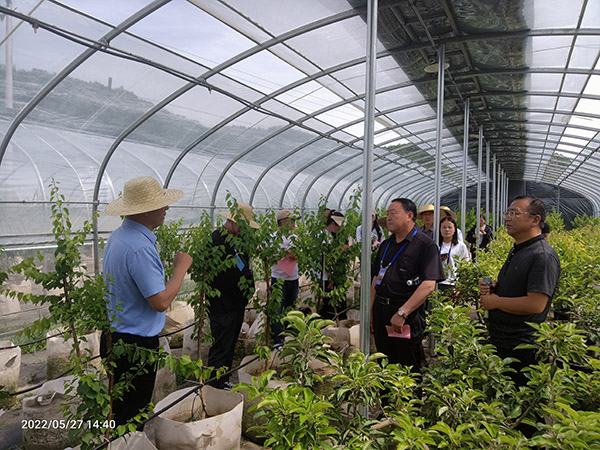 <b>深化行政审批制度改革 助力延川县经济高质量发展</b>