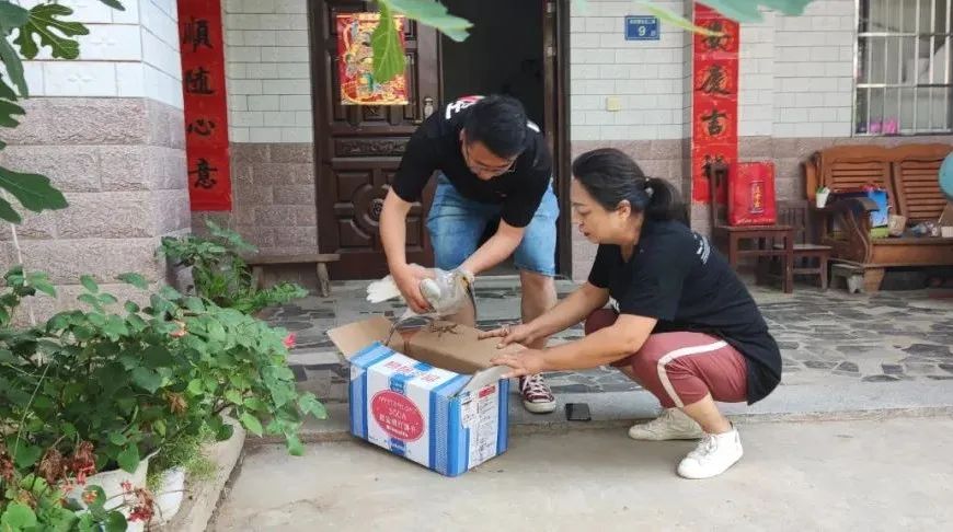 <b>离巢朱鹮宝宝误闯居民家 得洋县一夫妇悉心照料</b>