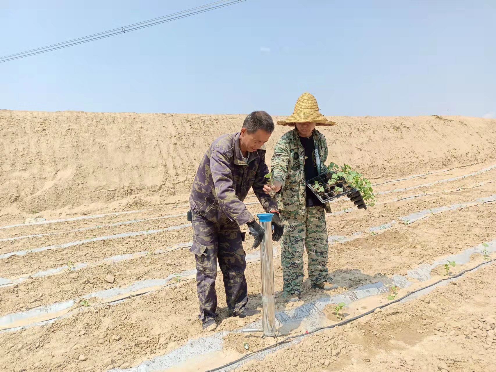 <b>榆林市神木特色种植助推农民增收  农业机械化为乡村振兴注入活力</b>