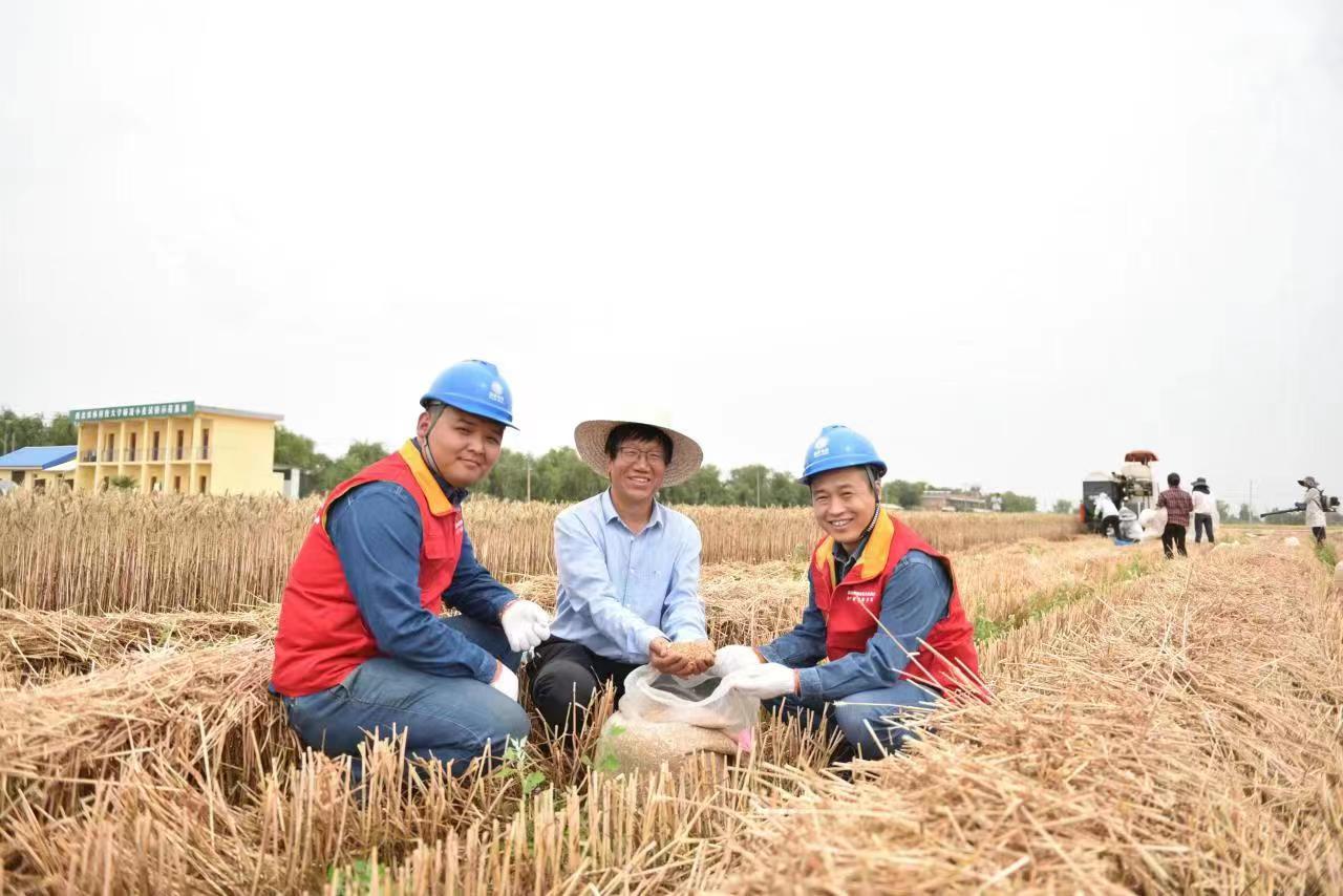 <b>国网咸阳供电公司为试验农田提供安全用电保障</b>