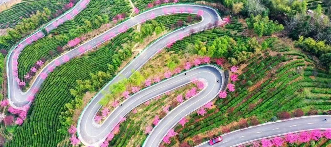 <b>走，驾车去体验！安康这条公路上榜“陕西最美农村路” </b>