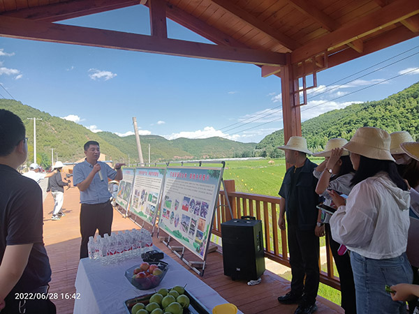 <b>水稻专业村——富县川庄村 精心建设“网红”生态农业田园</b>