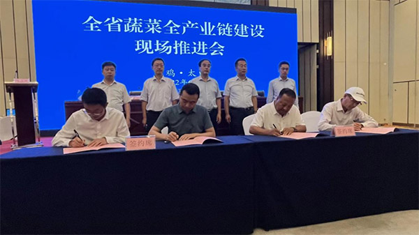 <b>综合产值达82.34亿！全省蔬菜全产业链建设现场推进会在太白县召开</b>