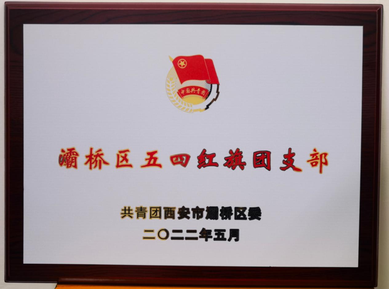 <b>灞桥区东城二小团支部荣获“灞桥区五四红旗团支部”称号</b>