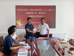 <b>西乡新桐木林项目将意向总投资33亿元、种植新桐木林地31万亩以上</b>