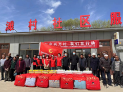 <b>榆阳区岔河则乡 推行“一核三化” 提升乡村治理水平</b>