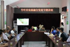 <b>镇坪县市场监管局赴竹叶村开展乡村振兴专题讲座</b>