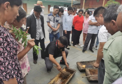 <b>非遗助力乡村振兴 汉中市南郑区举办古法养蜂技艺传承人培训活动</b>