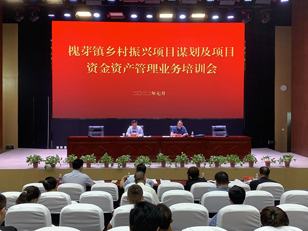 <b>宝鸡市眉县槐芽镇召开乡村振兴业务培训会 结合实际共商谋划方向</b>