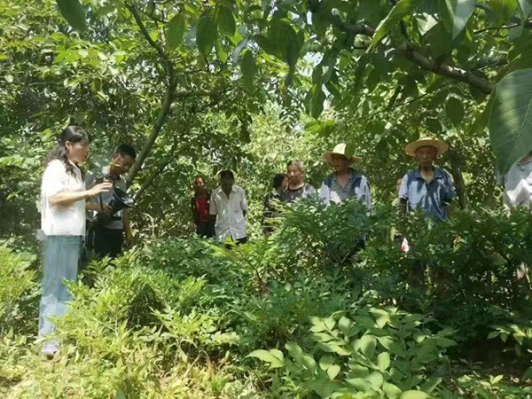<b>商洛科特派上河村开展林下魔芋栽培技术专题培训</b>