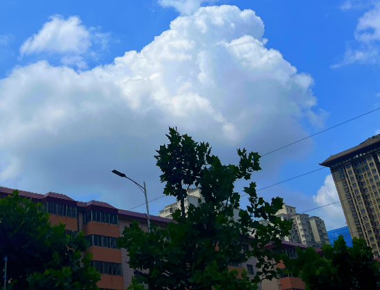 关中陕南高温闷热天气持续8 11日陕北北部局地有大暴雨 西西新闻 国家互联网新闻服务许可网站