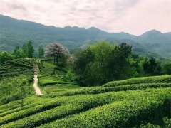 <b>汉中市入选文化和旅游部联合推出的 “乡村是座博物馆”128条全国乡村旅游</b>