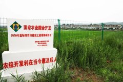 <b>榆林市榆阳区上盐湾镇 昔日荒草滩 今日米粮川</b>