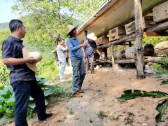 <b>汉中开展“三个一” 助农增收帮扶活动 为留坝县守住不返贫底线</b>