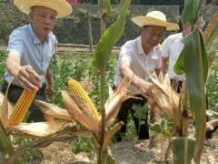 <b>旱情来袭！汉中市多项举措助力农业生产抗旱一线工作</b>