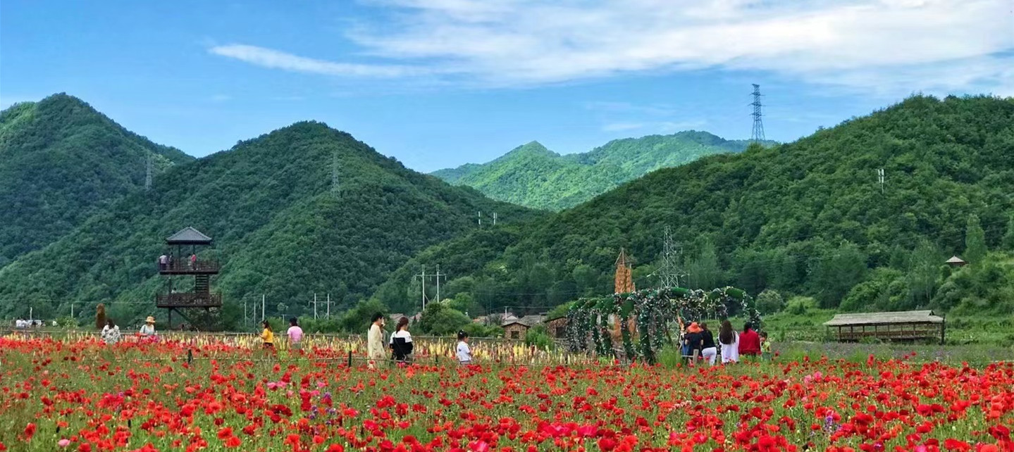 宝鸡眉县成功入选首批国家知识产权强县建设试点县