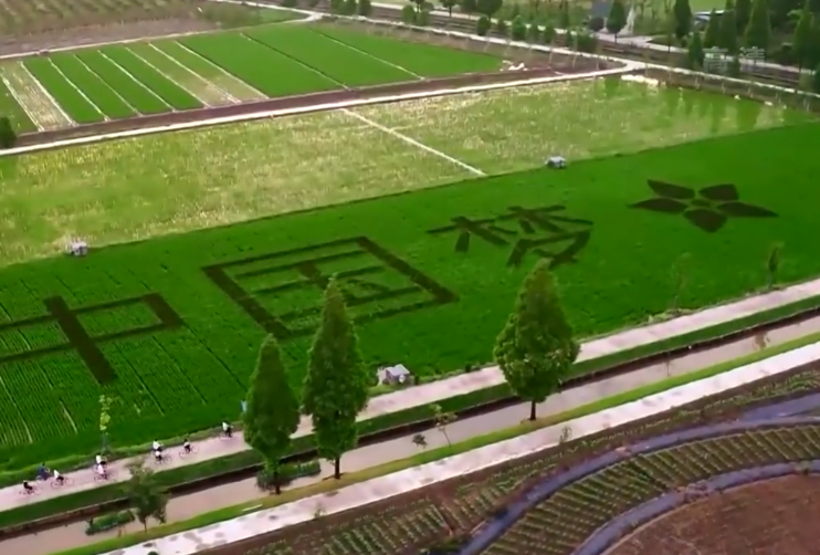 <b>领航中国丨中国经济迈上现代化新征程</b>