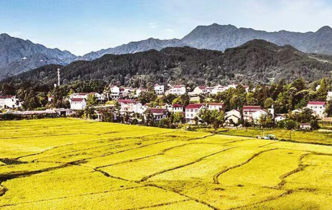 <b>牢牢把住粮食安全主动权</b>