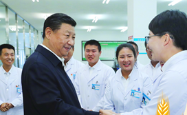 <b>“乡亲们今天的日子过得很踏实”</b>