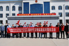 <b>用实际行动唱响“党建红+税务蓝”主旋律 榆林市税务局为结对帮扶镇纾困解</b>