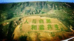 <b>神木市：厚植生态底色 守护绿水青山</b>