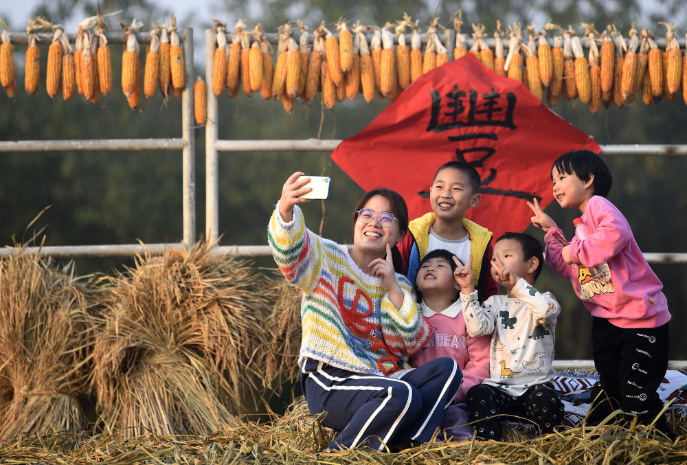 <b>秦岭脚下稻浪滚滚迎丰收</b>