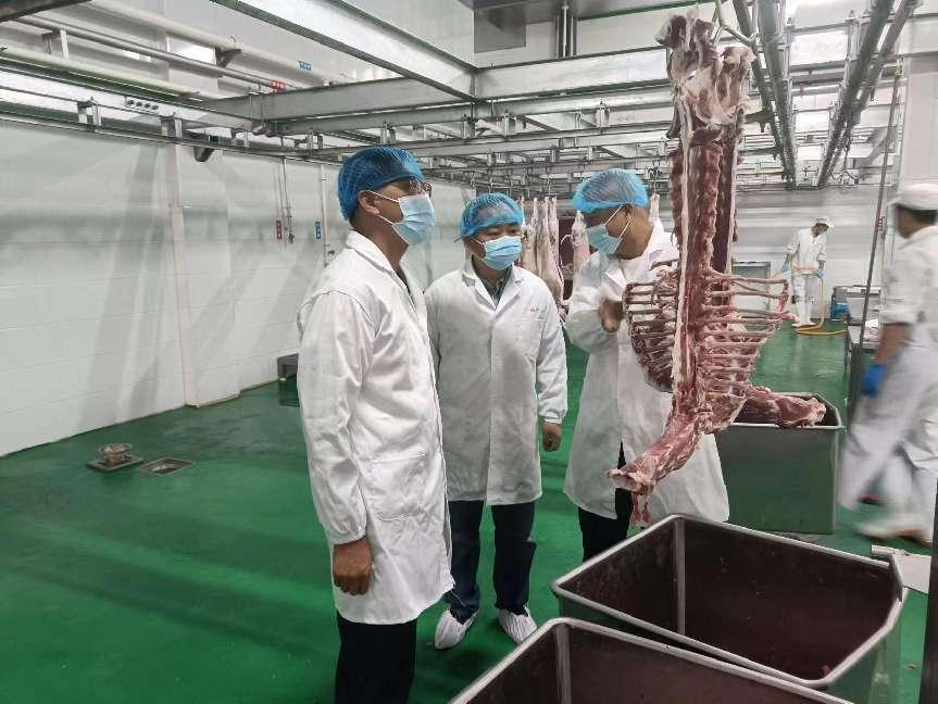 <b>陈培华：主动作为，保障定边畜牧健康</b>