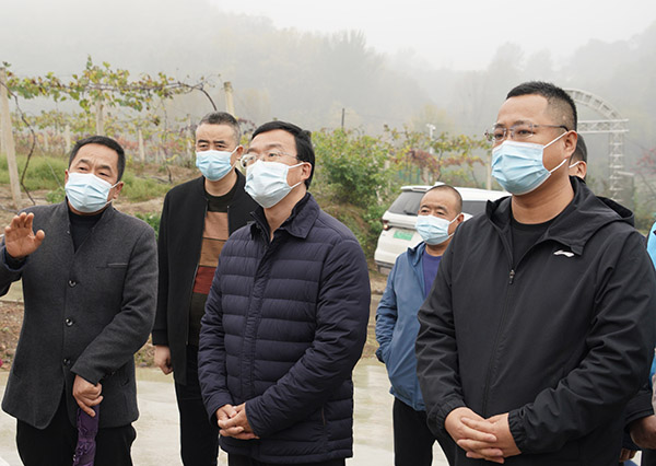 <b>持续巩固拓展脱贫攻坚成果 段小龙调研宝鸡多镇工作</b>