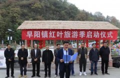 <b>安康汉滨：万亩红叶红遍天 黄金观赏在早阳</b>