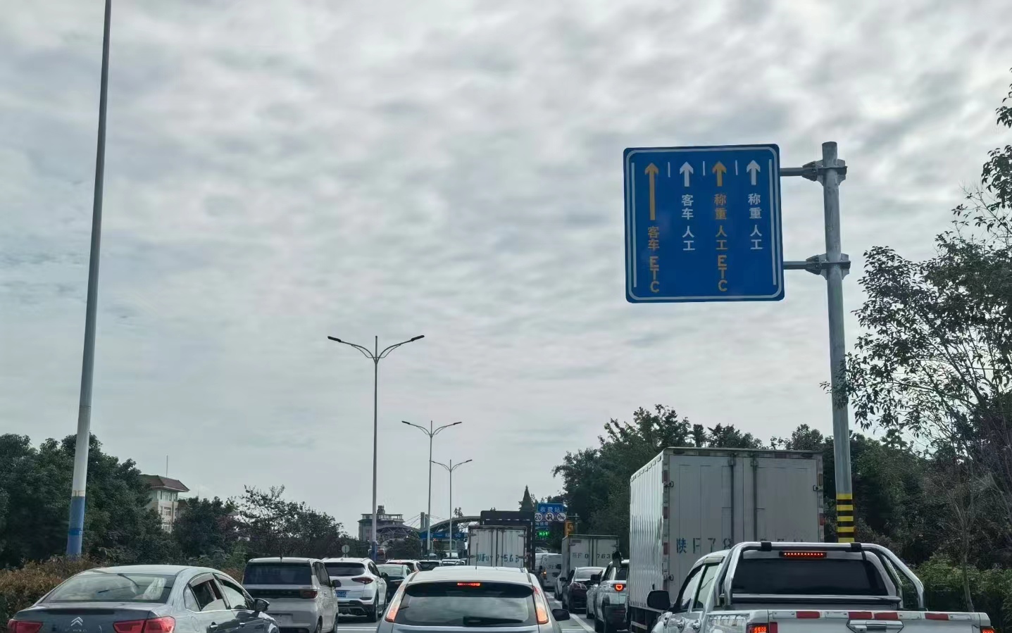 今日立冬 明起有雨 未来一周陕西多地为阴雨天气