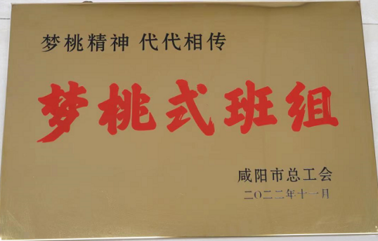 <b>喜获“梦桃式班组”称号 咸阳高新又获奖了</b>