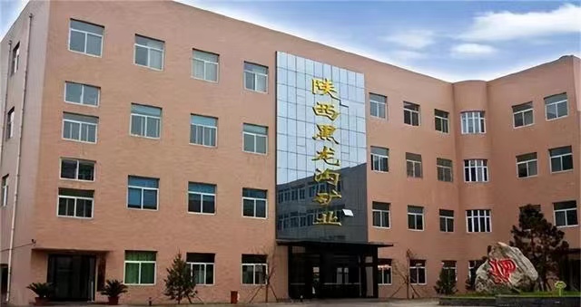 <b>存在多种安全生产问题，陕西黑龙沟矿业被罚11万元</b>