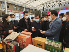 <b>四方双结对 共建示范村 “印台滋味”空降盐城受欢迎</b>