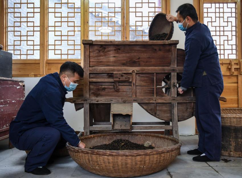 <b>从千锤百炼到智能可控——百年茯茶生产探索数字化转型</b>