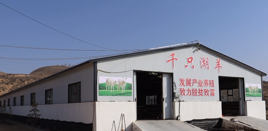<b>靖边县中山涧镇：农户发“羊财” 增收喜洋洋</b>