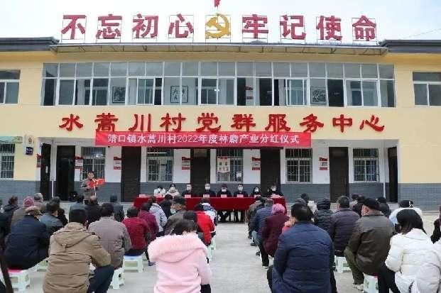<b>太白县“软黄金”铺就增收致富路 “小精灵”跑出振兴加速度</b>