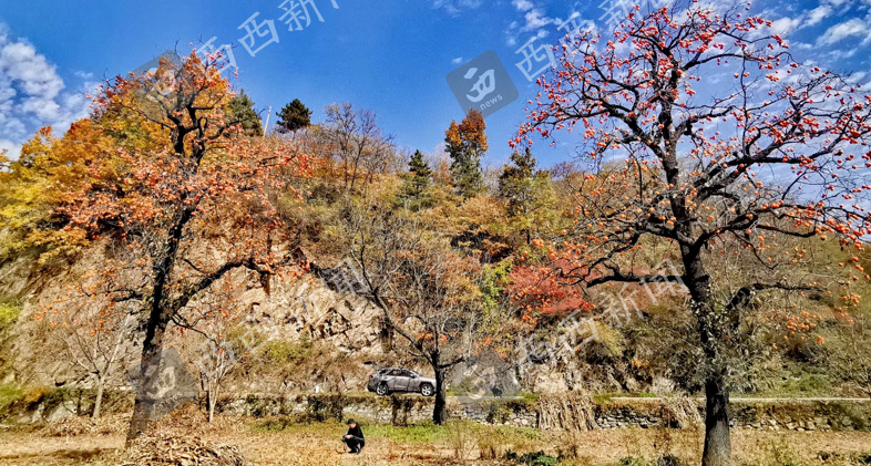 <b>陕西4人私自穿越“鳌太线”失联 目前已搜救到3人</b>