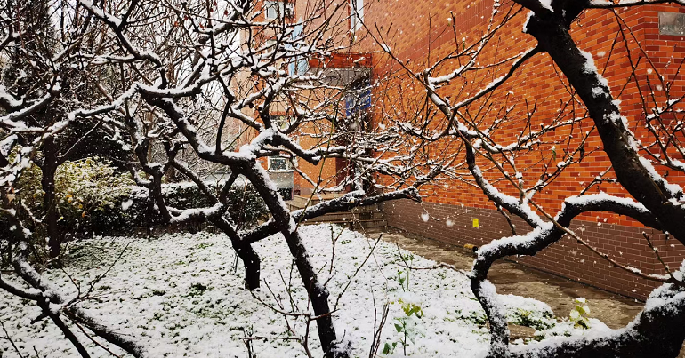 <b>“三九”严寒到！本周陕西多地将迎来雨雪降温天气</b>