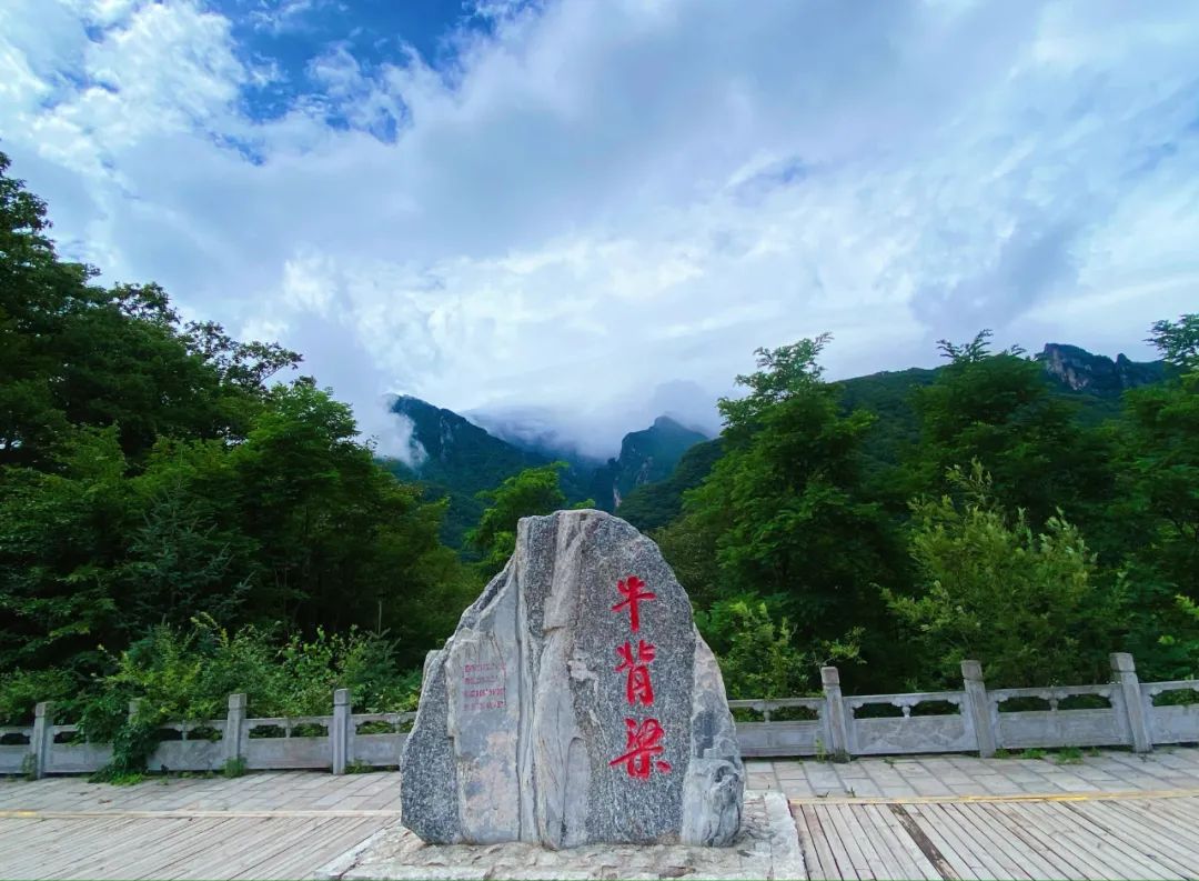 <b>陕西商洛牛背梁度假区成国家级旅游度假区，你去过吗？</b>