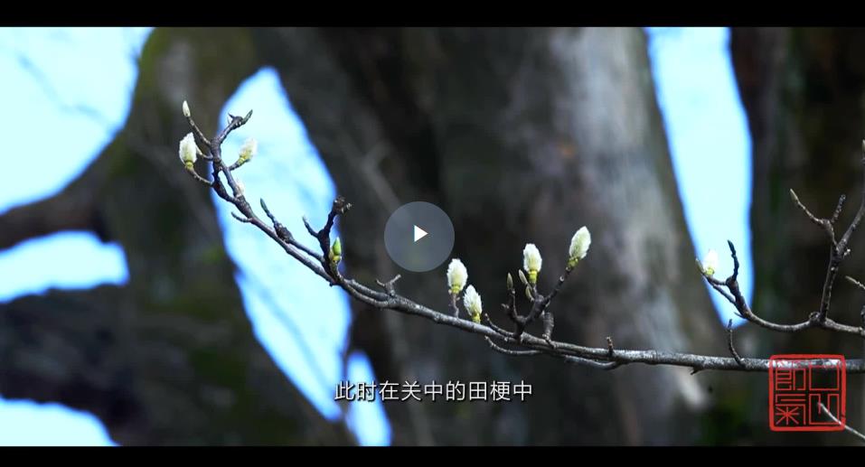 <b>二十四节气（陕西）| 立春</b>